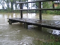 bild (39)